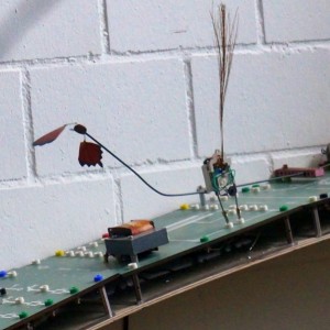 61