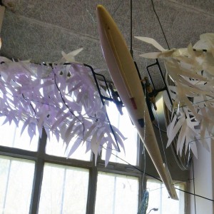 DSC02300 (2)